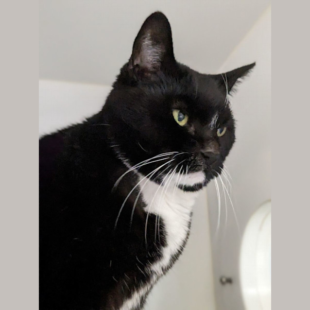 Photo of 🌺 Valerie F02670 🌺