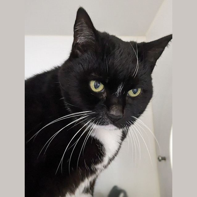 Photo of 🌺 Valerie F02670 🌺