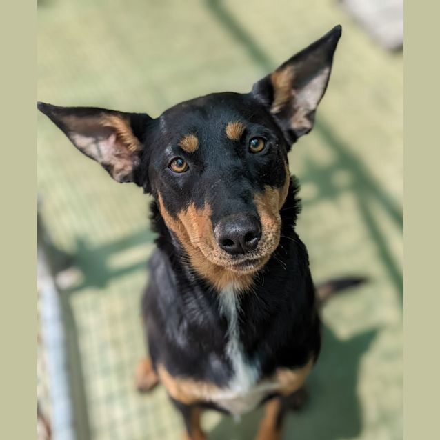 Photo of 🐞 Luna C04673 🐞