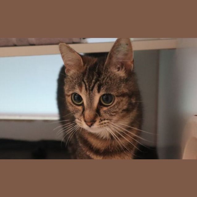 Photo of Jinx