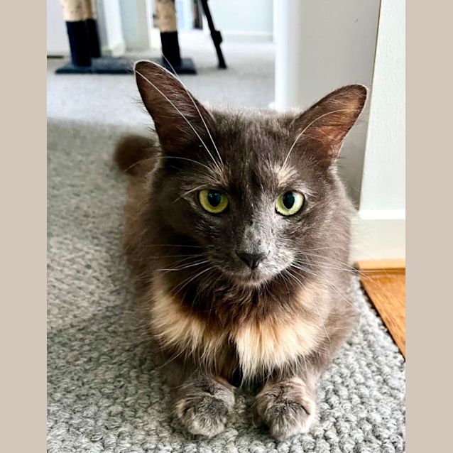 Photo of Willow 🩷