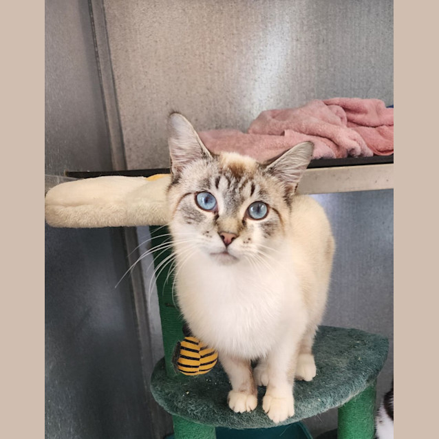 Photo of Woody And Buzz