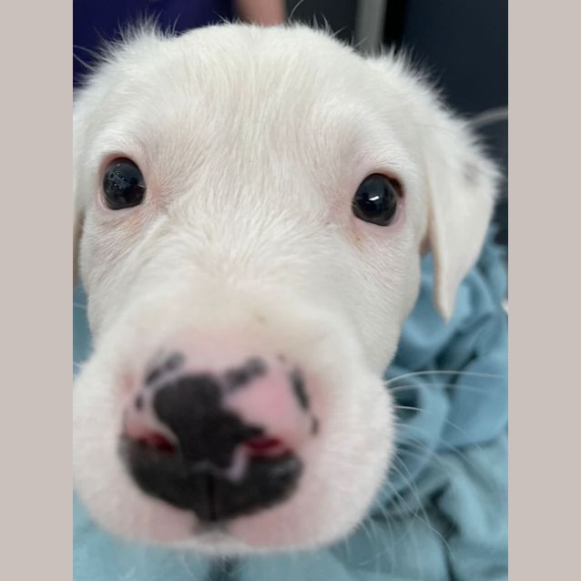 Photo of George