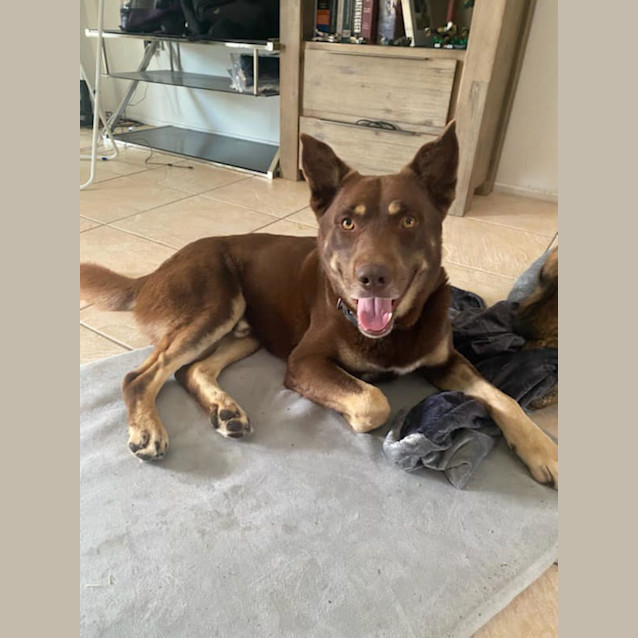 Photo of Bruce