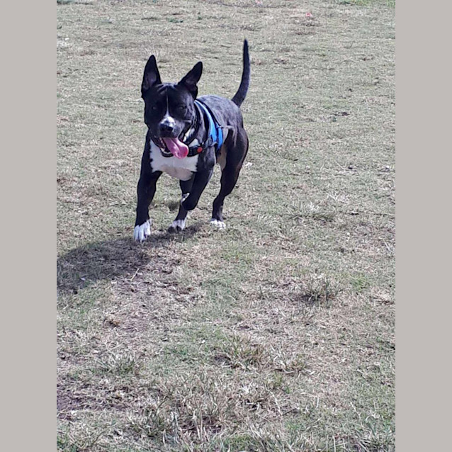 Photo of Jack
