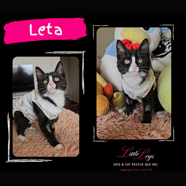 Photo of Leta