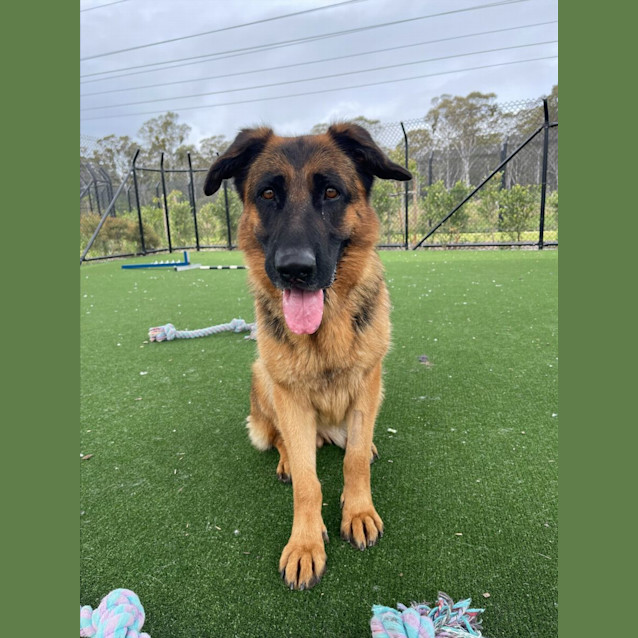 Photo of Chelsea Imp 1807