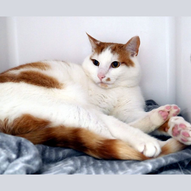 Photo of Gilly Sua011863