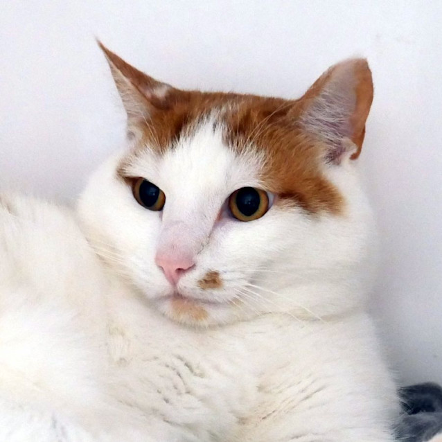 Photo of Gilly Sua011863