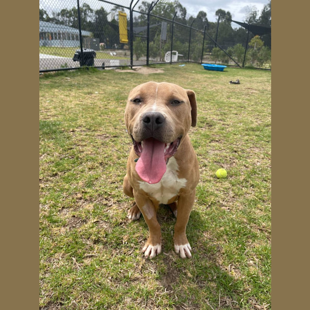 Photo of Donald Imp 1808