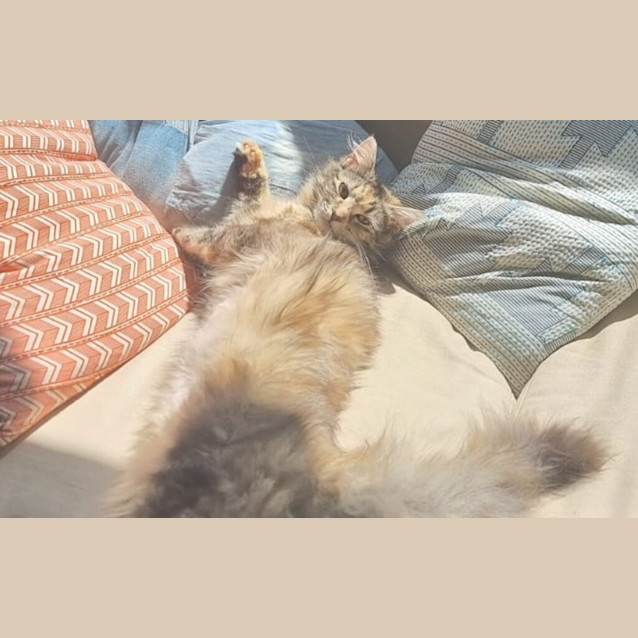 Photo of Nina 