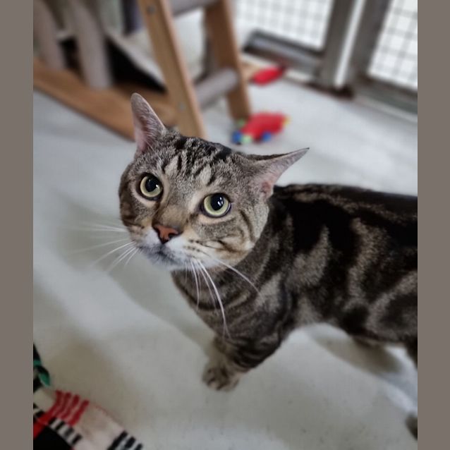 Photo of Dunkin