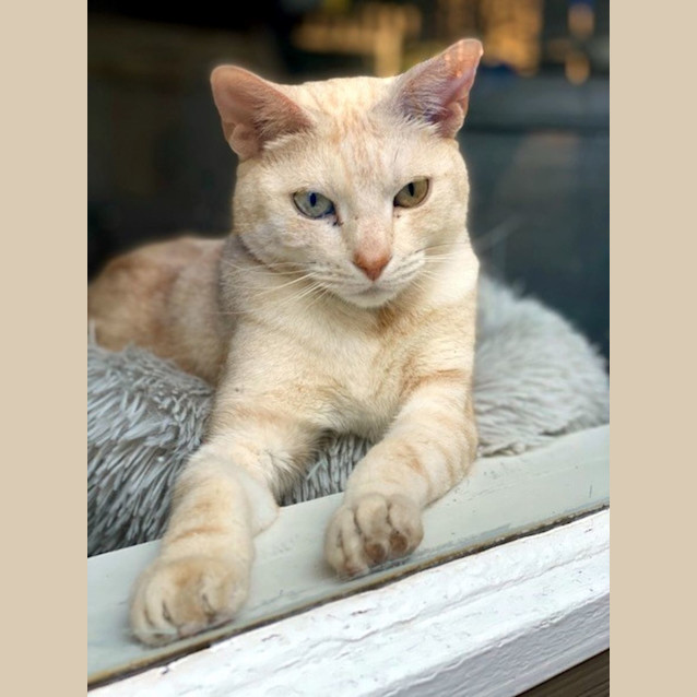 Photo of Benedict Sta011613