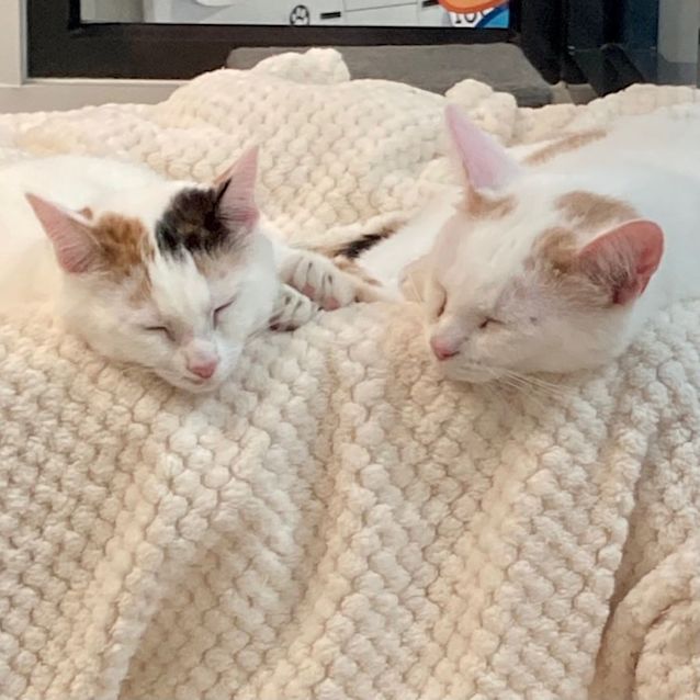 Photo of Mabel & Dipper