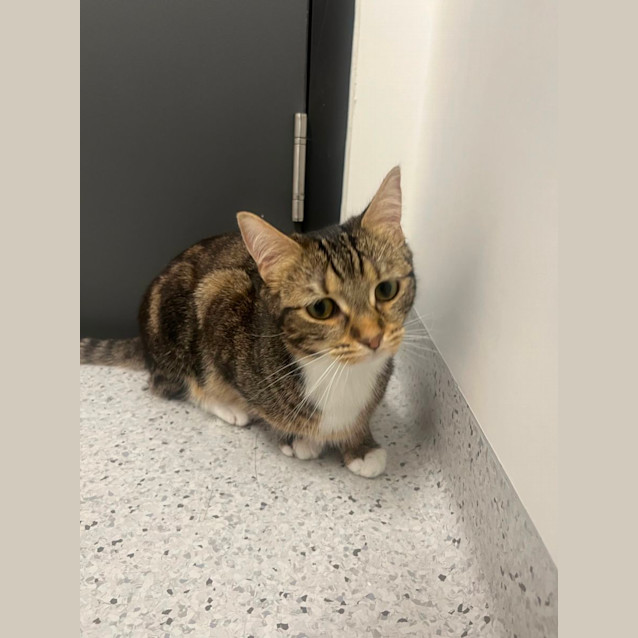 Photo of Hilda & Zelda