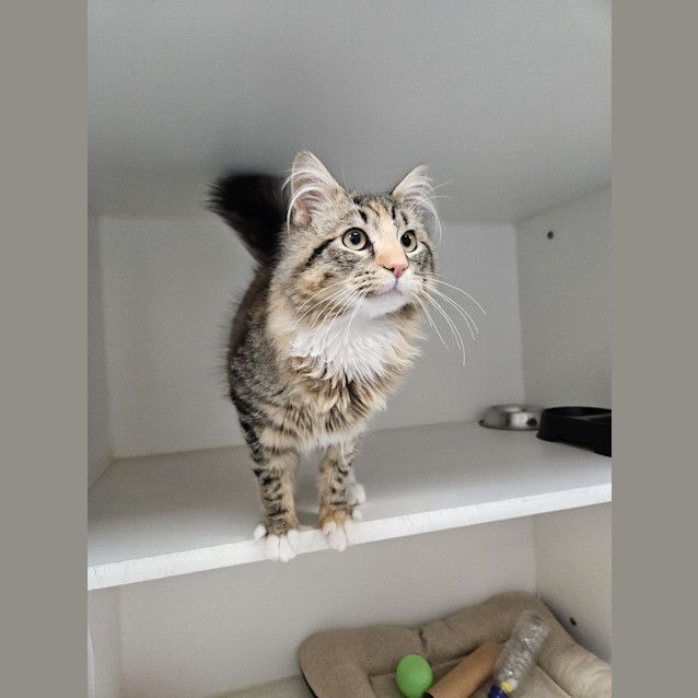 Photo of Lenny