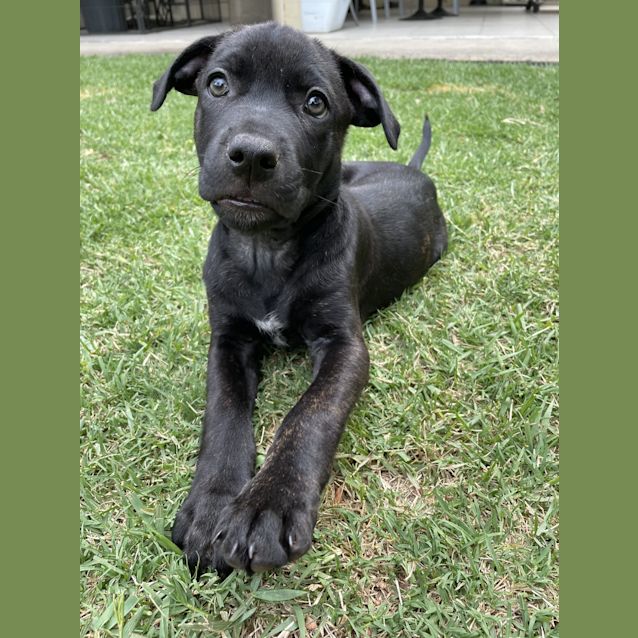 Photo of Axel