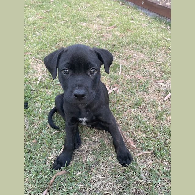Photo of Axel