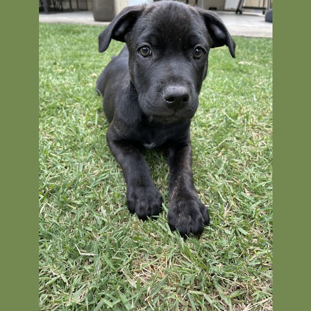 Photo of Axel