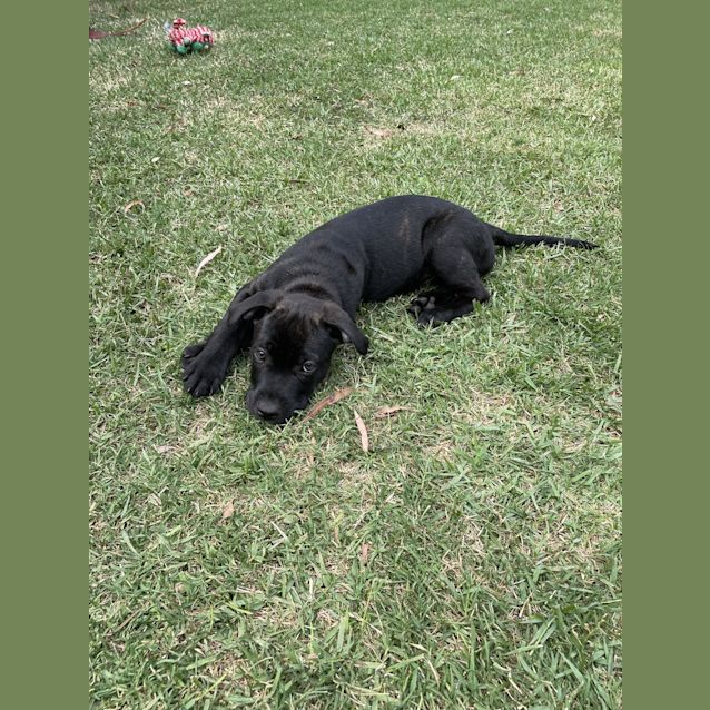 Photo of Axel