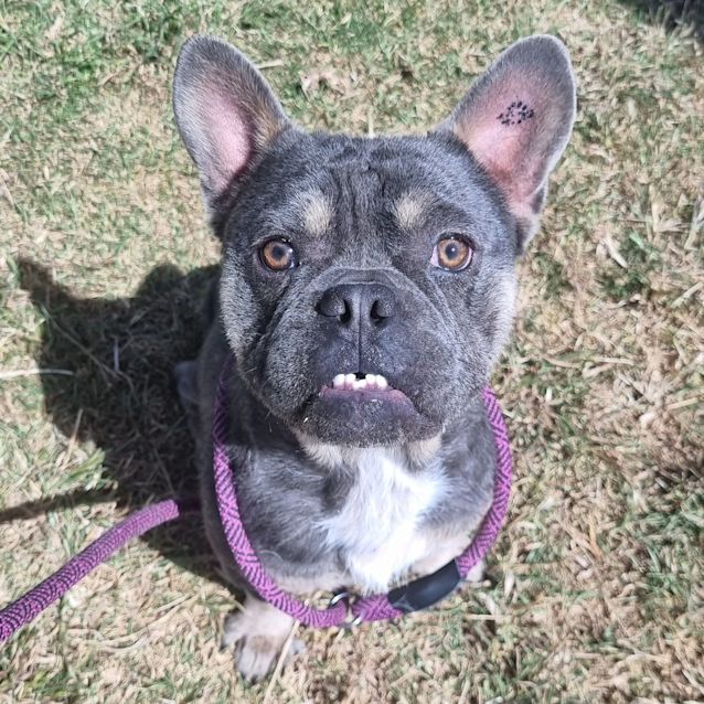 Photo of Zeb