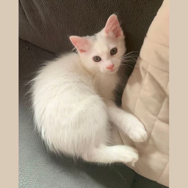 Photo of Charlie💙💙😻😻