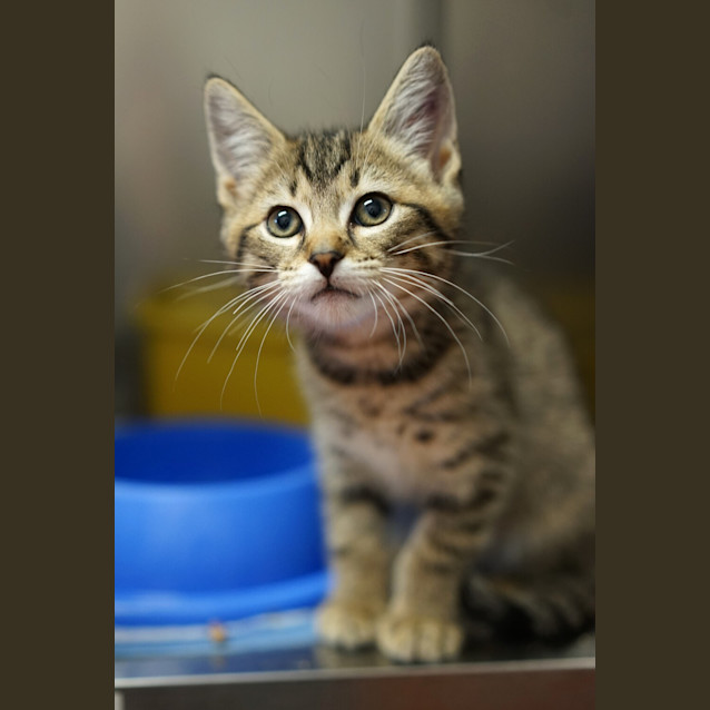 Photo of Monty