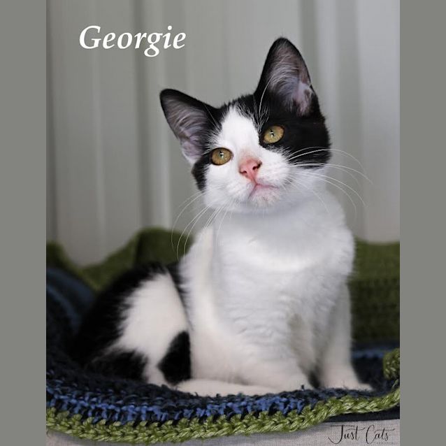 Photo of Georgie