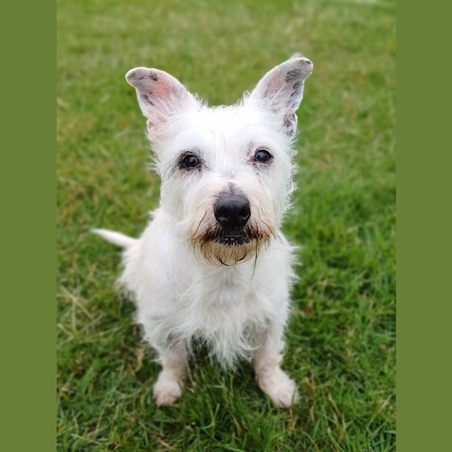 Photo of Dottie