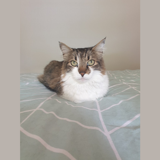 Photo of Frank