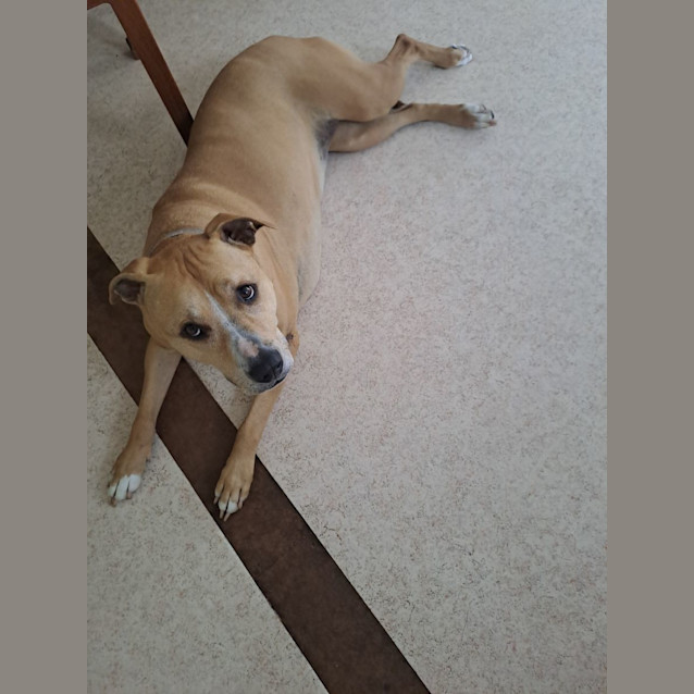 Photo of Cooper
