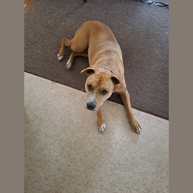 Photo of Cooper
