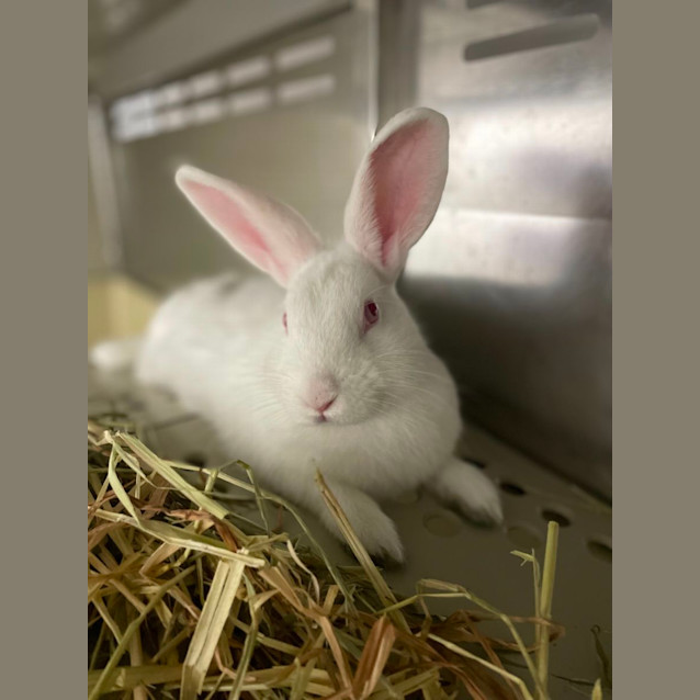 Photo of Kissy