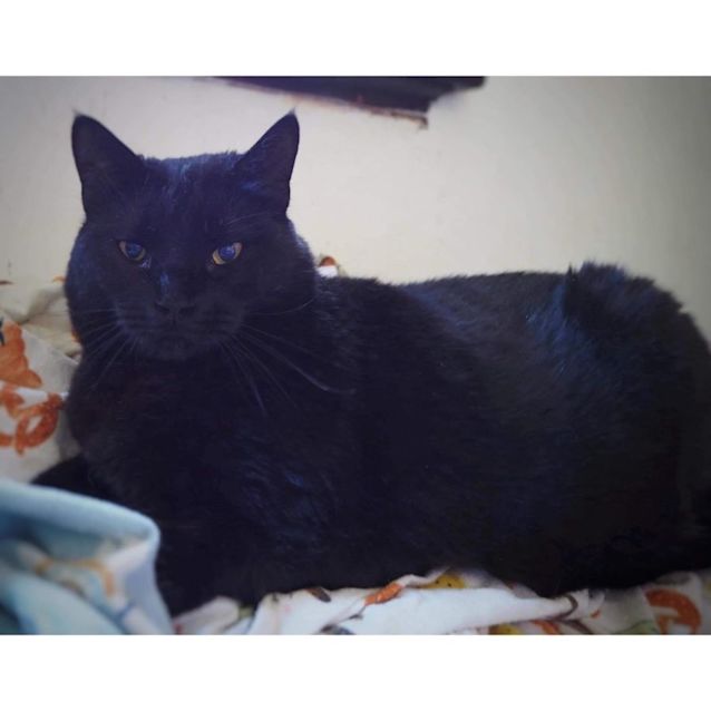 Photo of 5326   Agnes