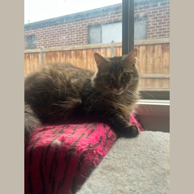 Photo of Boots