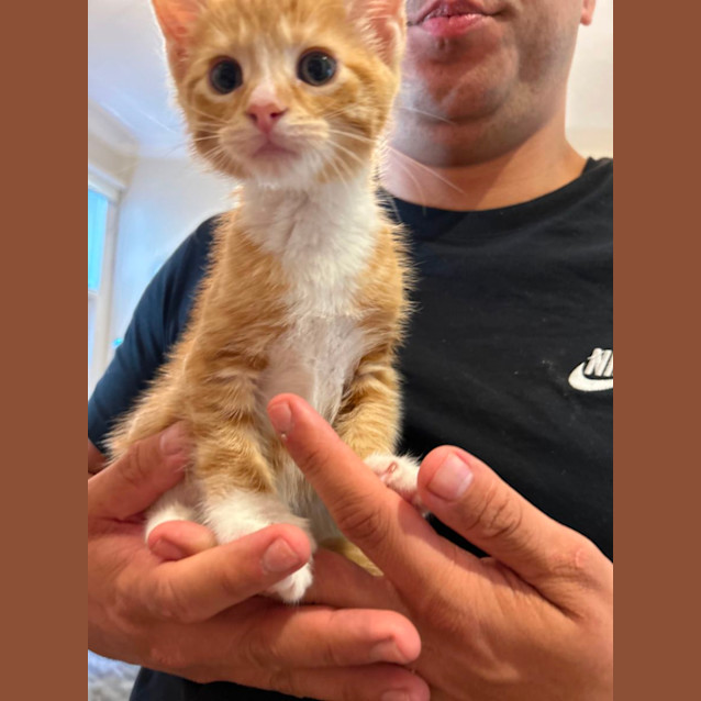 Photo of Zuri And Zahari