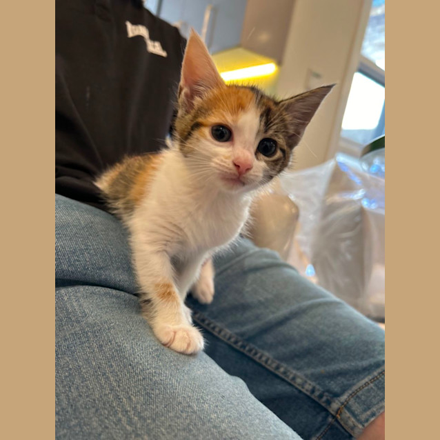 Photo of Zuri And Zahari