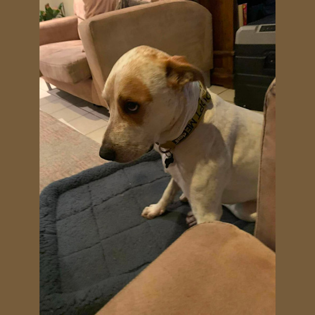 Photo of Max