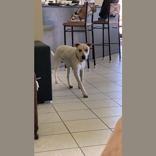 Photo of Max