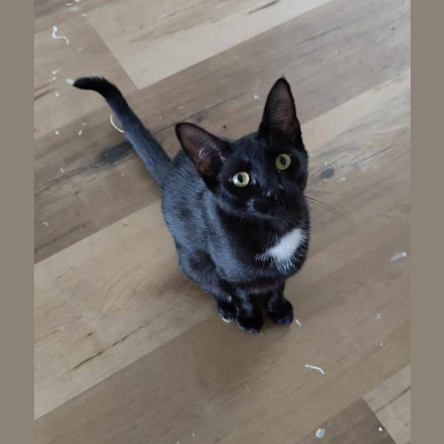 Photo of Beep