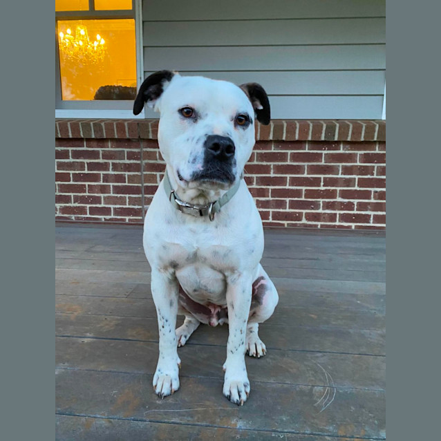 Photo of Ralph 