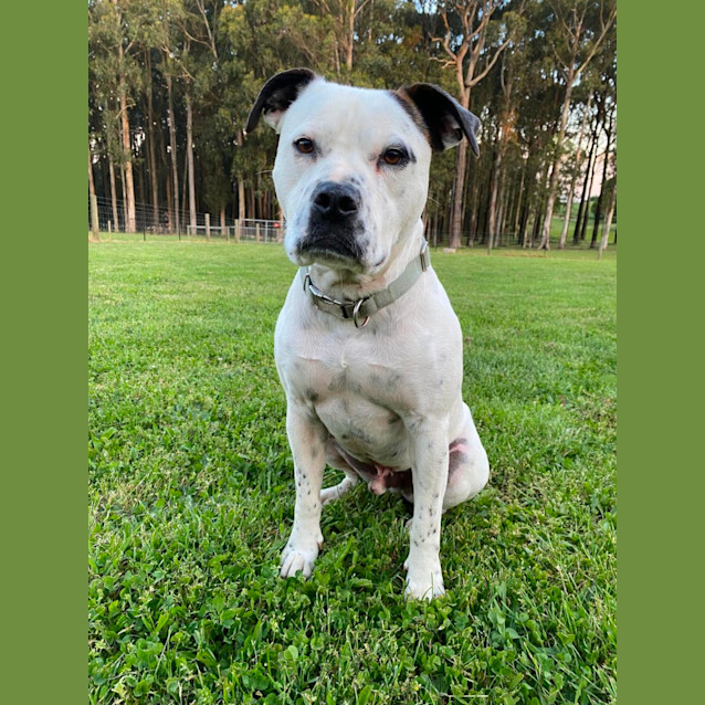 Photo of Ralph 