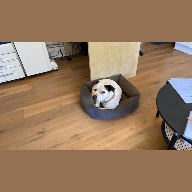 Photo of Ralph 