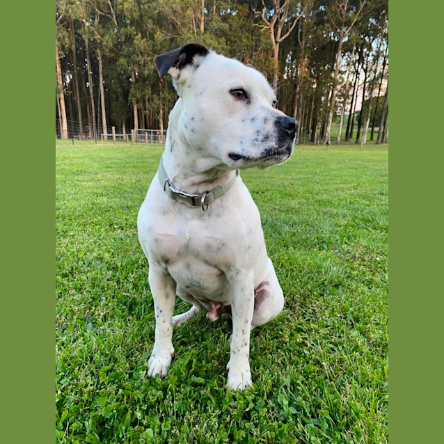 Photo of Ralph 