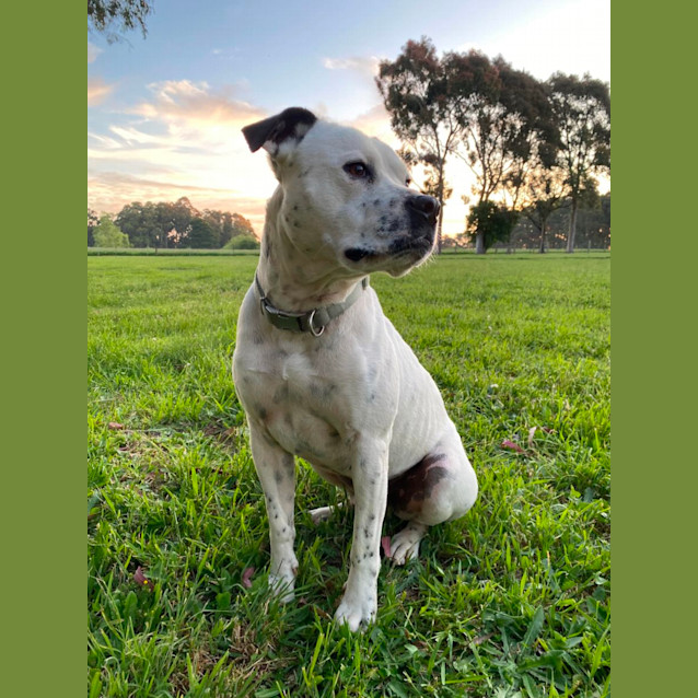 Photo of Ralph 