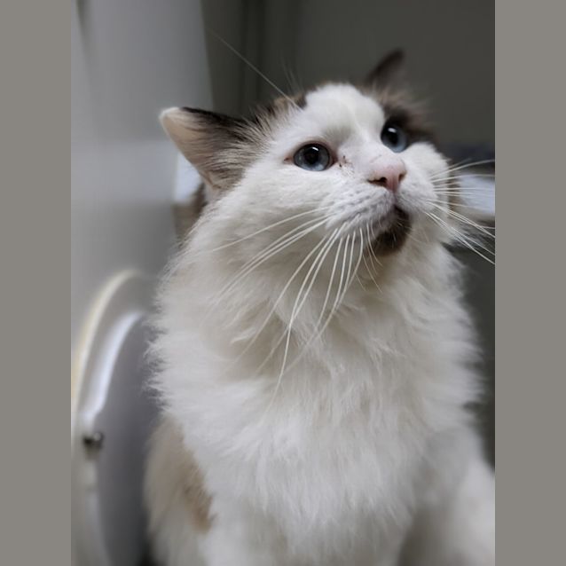 Photo of 💙Posi F02682 💙