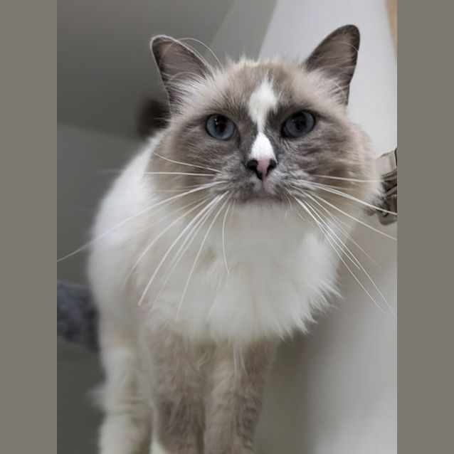 Photo of 💙 Arlo F02681 💙