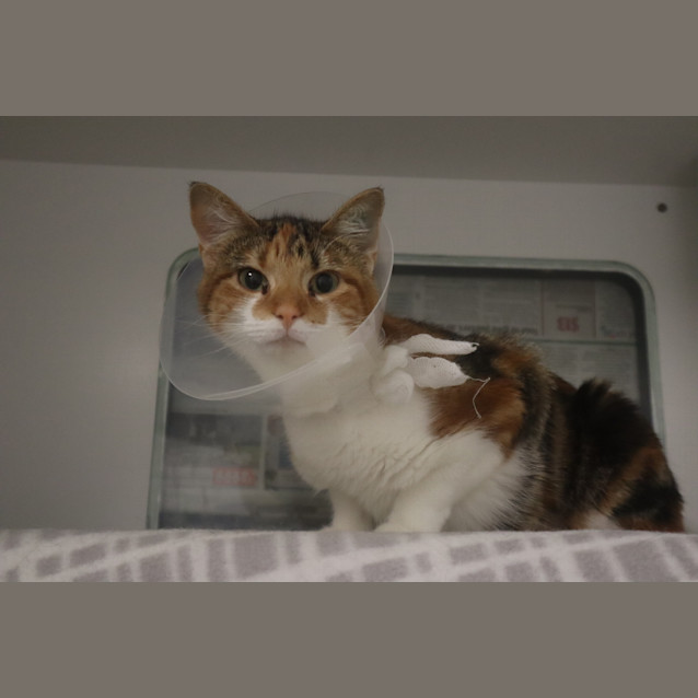 Photo of Ella