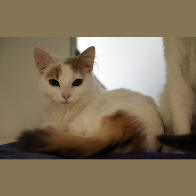 Photo of Tallulah
