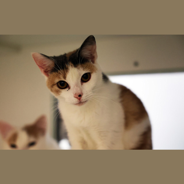 Photo of Catelyn